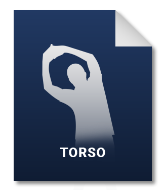 Torso icon